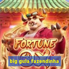 big gula fazendinha